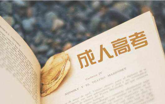 云南成考專業(yè)