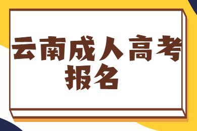 云南臨滄成人高考報(bào)名