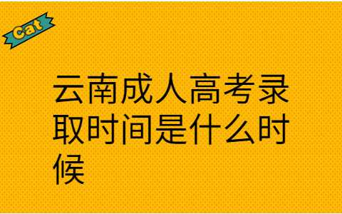 云南成人高考