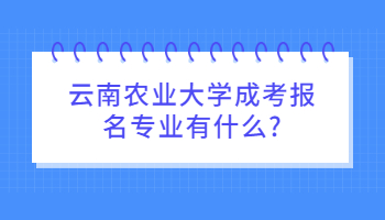 云南農業大學成考報名專業