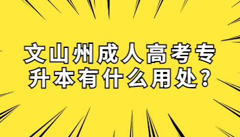 文山州成人高考專升本