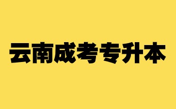 2024年云南成考專升本可以跨專業嗎？