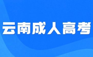 2024云南民族大學函授報名方式？