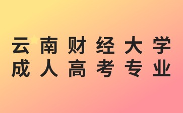 2024年云南財(cái)經(jīng)大學(xué)成人高考有哪些推薦專業(yè)？