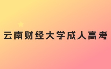 2024年云南財經大學成考專升本各專業考試科目是什么？